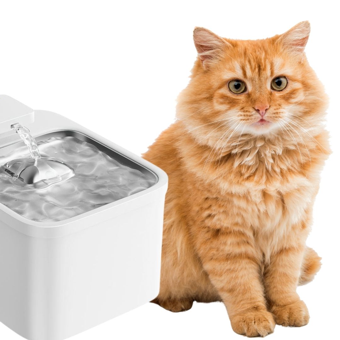 Kisállat itatókút WF1, WiFi, 4 l 2